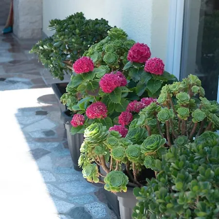 Lucija 4 By Guide Crikvenica